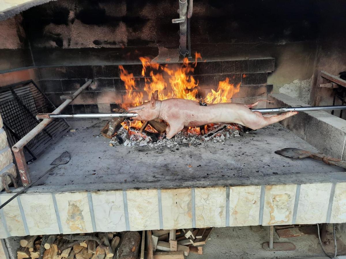Apartmani Opg Dragoslavic Stara Vas Exterior foto